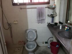 Blk 533 Panshan Grove (Bukit Panjang), HDB 5 Rooms #575740741
